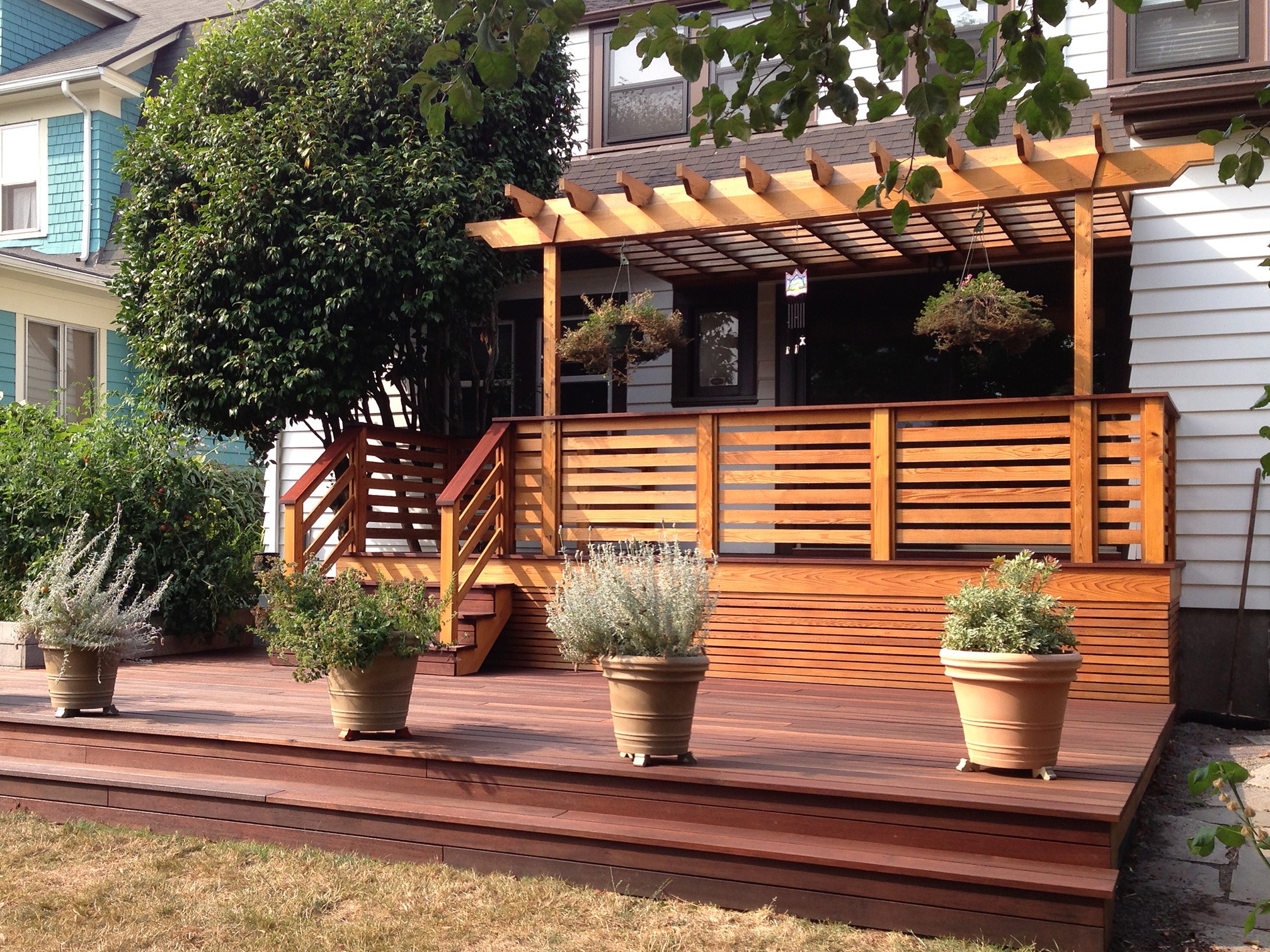 garden full of hedges and flowers